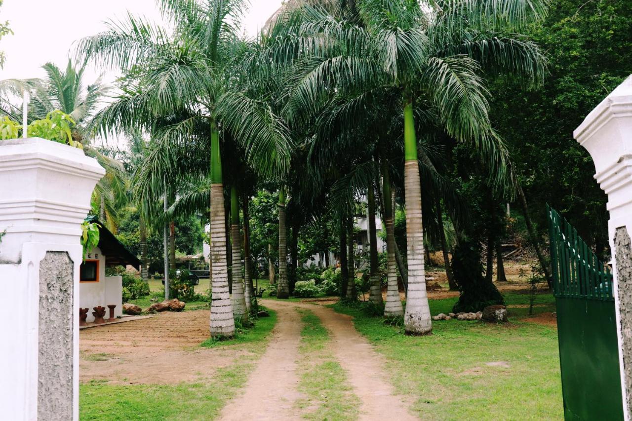 Sea Avenue - Eco Garden Hotel Tangalle Bagian luar foto