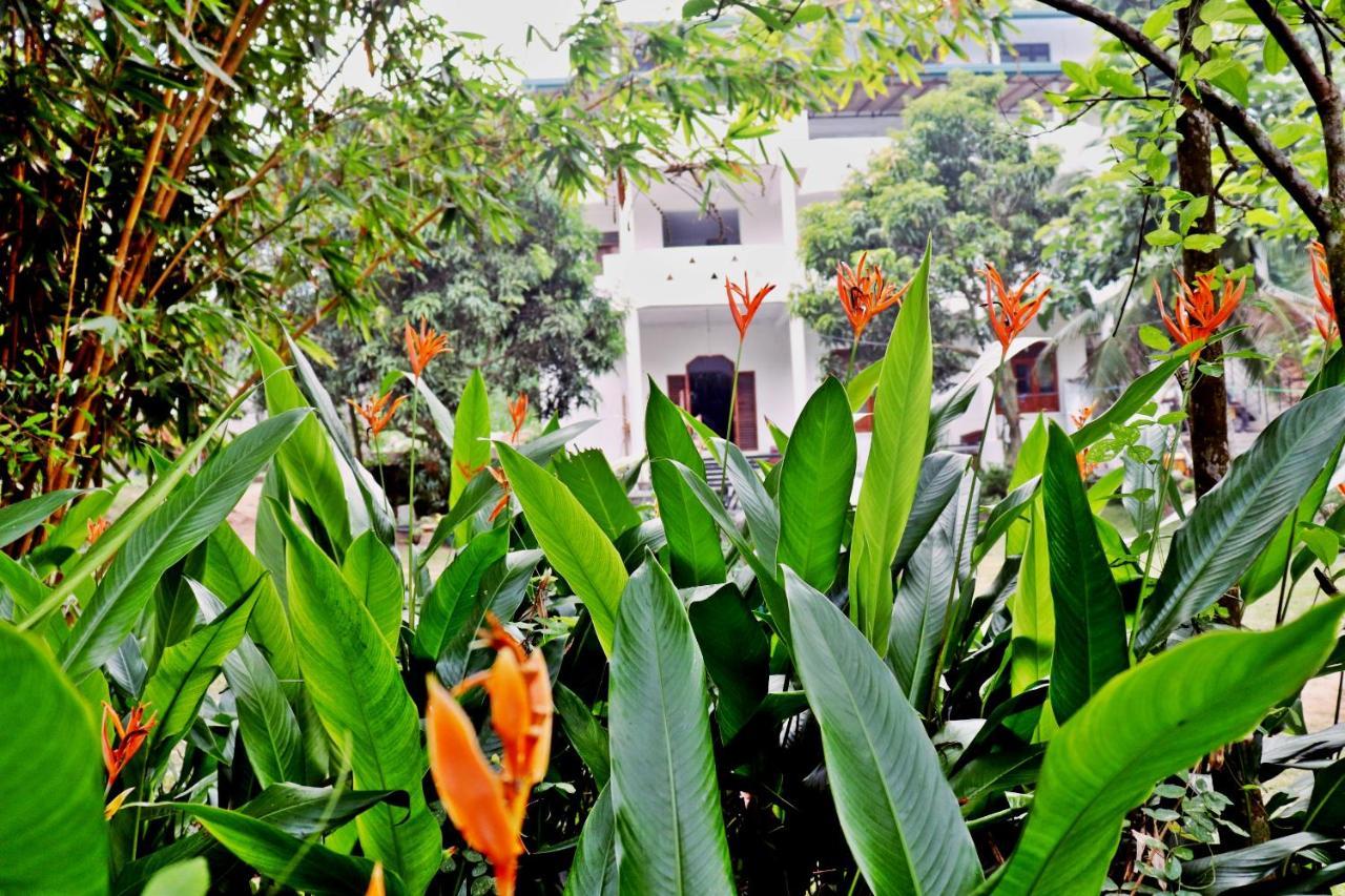 Sea Avenue - Eco Garden Hotel Tangalle Bagian luar foto