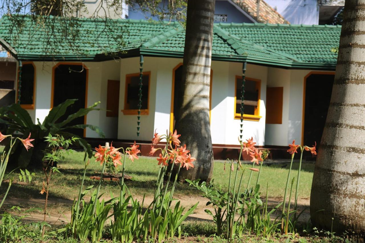 Sea Avenue - Eco Garden Hotel Tangalle Bagian luar foto